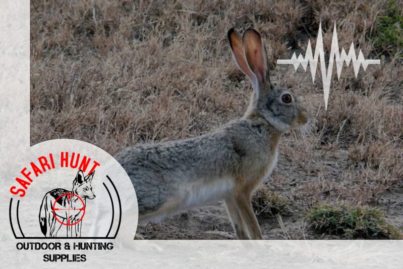 (New) Vlakhaas Meester