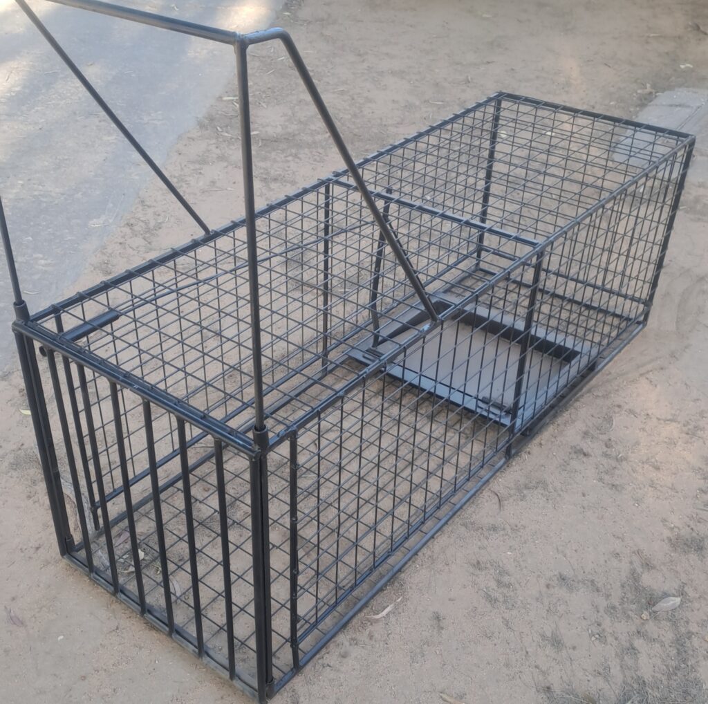 Single Door Trapping Cage