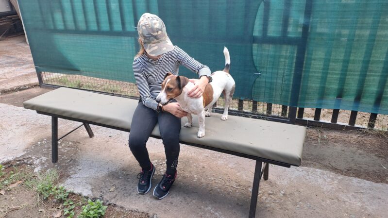 (New) Sitting Canvas Bench